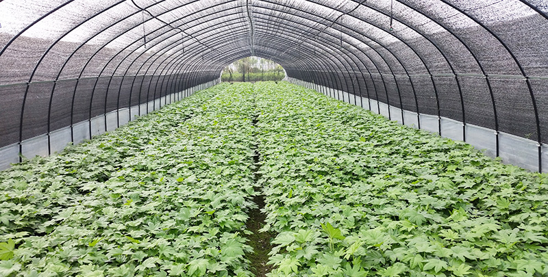 九游会·J9(中国游)官方网站-真人游戏第一品牌